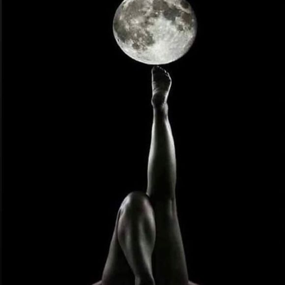 Meet your Posher, Eden - Picture 1 of 1